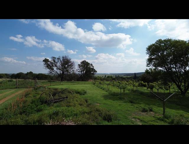 80HA FARM TO LET IN WESTONARIA RURAL